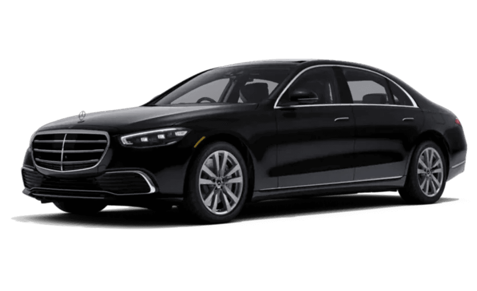 Group & Cruise Transportation