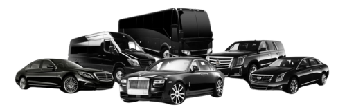 Fleet of luxury chauffeur-driven limousines in Toronto